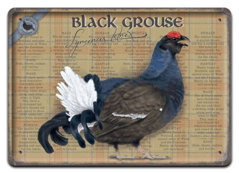 BLACK GROUSE METALOWY PLAKAT SZYLD RETRO #08571