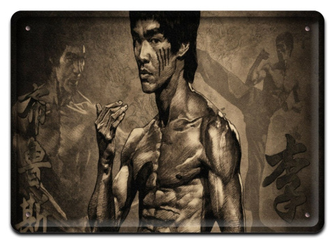 BRUCE LEE ETALOWY SZYLD VINTAGE RETRO #09406