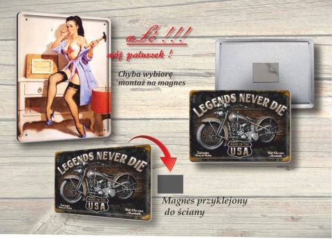 METALOWY SZYLD PLAKAT VINTAGE RETRO #05595