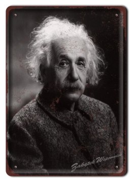 ALBERT EINSTEIN METALOWY SZYLD OBRAZEK RETRO #05497