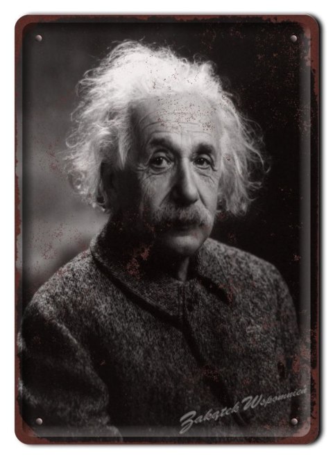 ALBERT EINSTEIN METALOWY SZYLD OBRAZEK RETRO #05497