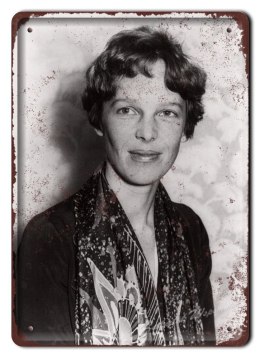AMELIA ERHART METALOWY SZYLD OBRAZEK RETRO #05481