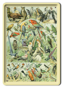 ZOOLOGIA PLAKAT METALOWY SZYLD OBRAZEK #21092