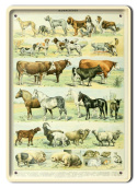 ZOOLOGIA PLAKAT METALOWY SZYLD OBRAZEK #21097