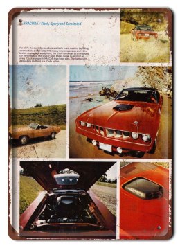 BARRACUDA METALOWY SZYLD PLAKAT RETRO #06821