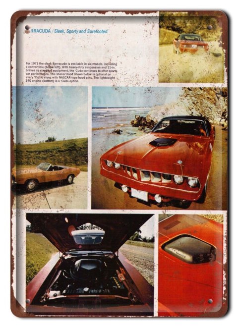 BARRACUDA METALOWY SZYLD PLAKAT RETRO #06821