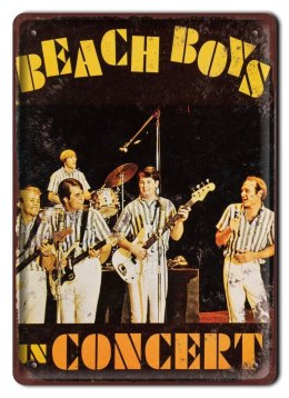 BEACH BOYS PLAKAT METALOWY SZYLD RETRO VINTAGE #11055