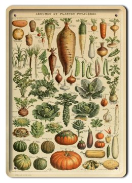 BOTANIKA PLAKAT METALOWY SZYLD OBRAZEK #21016
