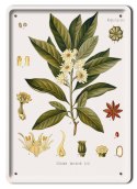 BOTANIKA PLAKAT METALOWY SZYLD OBRAZEK #21067
