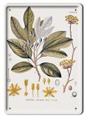 BOTANIKA PLAKAT METALOWY SZYLD OBRAZEK #21072