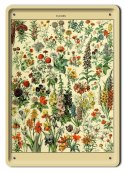 BOTANIKA PLAKAT METALOWY SZYLD OBRAZEK #21084