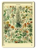 BOTANIKA PLAKAT METALOWY SZYLD OBRAZEK #21085