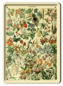 BOTANIKA PLAKAT METALOWY SZYLD OBRAZEK #21087