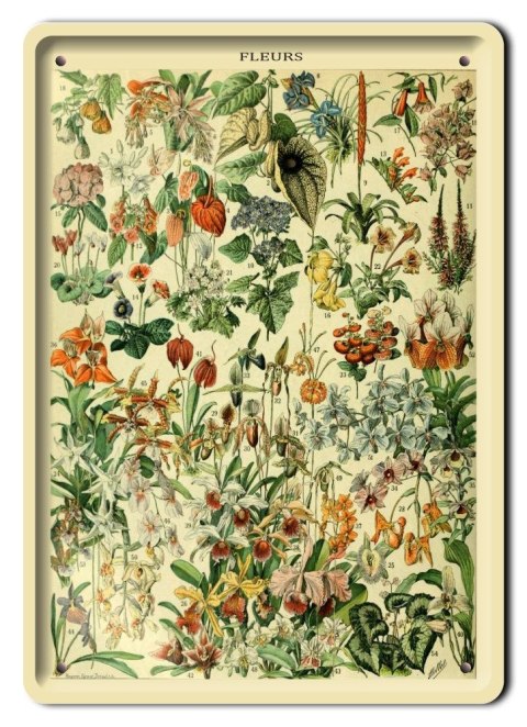 BOTANIKA PLAKAT METALOWY SZYLD OBRAZEK #21087