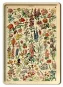 BOTANIKA PLAKAT METALOWY SZYLD OBRAZEK #21088