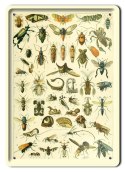 BOTANIKA PLAKAT METALOWY SZYLD OBRAZEK #21089