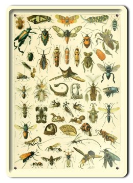 BOTANIKA PLAKAT METALOWY SZYLD OBRAZEK #21089