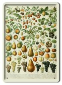 BOTANIKA PLAKAT METALOWY SZYLD OBRAZEK #21099