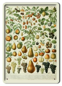 BOTANIKA PLAKAT METALOWY SZYLD OBRAZEK #21099