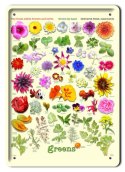 BOTANIKA PLAKAT METALOWY SZYLD OBRAZEK #21115