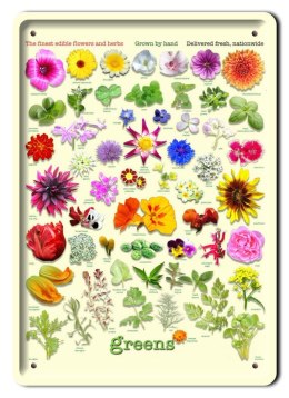 BOTANIKA PLAKAT METALOWY SZYLD OBRAZEK #21115