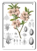 BOTANIKA PLAKAT METALOWY SZYLD OBRAZEK #21123