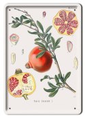 BOTANIKA PLAKAT METALOWY SZYLD OBRAZEK #21153