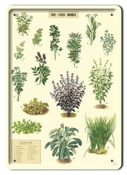 BOTANIKA PLAKAT METALOWY SZYLD OBRAZEK #21160
