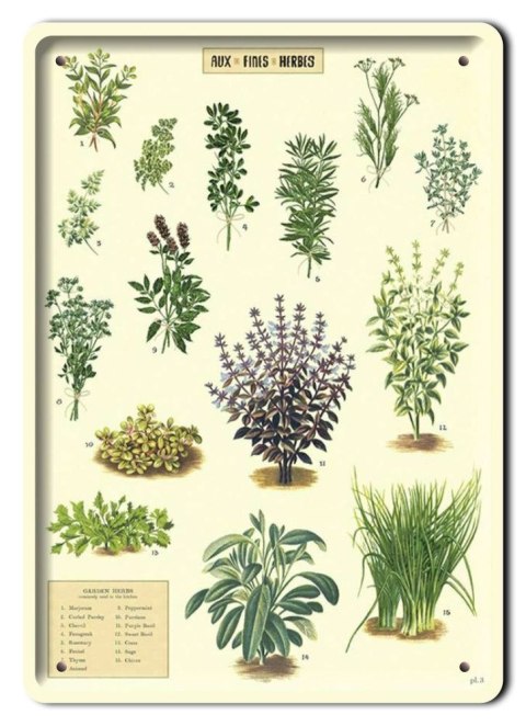 BOTANIKA PLAKAT METALOWY SZYLD OBRAZEK #21160
