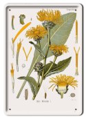 BOTANIKA PLAKAT METALOWY SZYLD OBRAZEK #21163