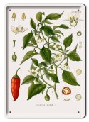 BOTANIKA PLAKAT METALOWY SZYLD OBRAZEK #21167