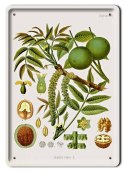 BOTANIKA PLAKAT METALOWY SZYLD OBRAZEK #21169