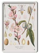 BOTANIKA PLAKAT METALOWY SZYLD OBRAZEK #21170