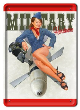 BROŃ TABLICZKA METALOWY SZYLD PLAKAT RETRO #11856