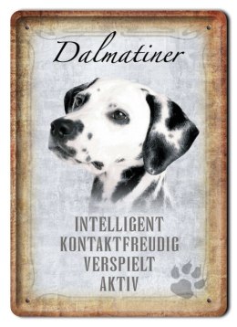 DALMATYŃCZYK METALOWY SZYLD PLAKAT RETRO #11572