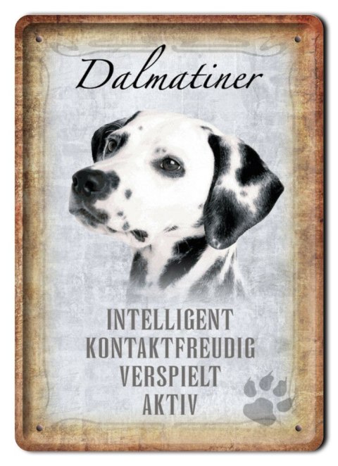 DALMATYŃCZYK METALOWY SZYLD PLAKAT RETRO #11572