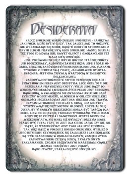 DEZYDERATA METALOWY SZYLD PLAKAT RETRO #12532