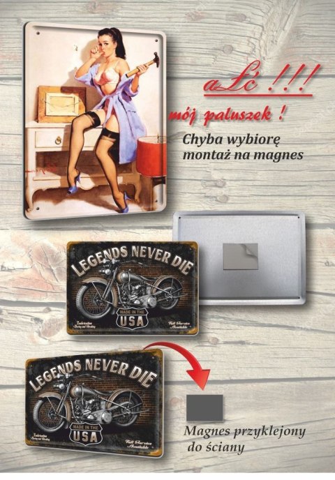 FORMUŁA 1 METALOWY SZYLD PLAKAT RETRO #07436