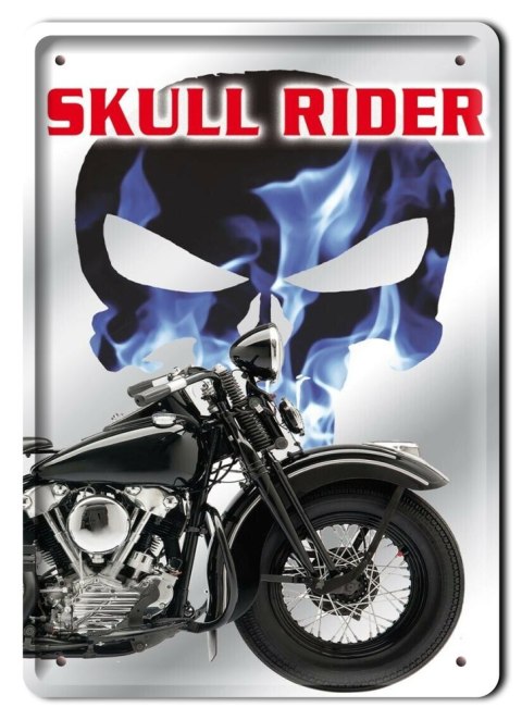 HARLEY METALOWY SZYLD PLAKAT RETRO #11884