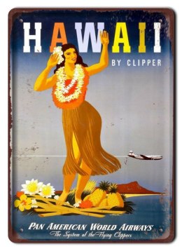 HAWAJE METALOWY SZYLD PLAKAT VINTAGE RETRO #09546