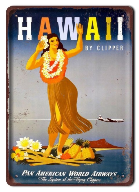 HAWAJE METALOWY SZYLD PLAKAT VINTAGE RETRO #09546