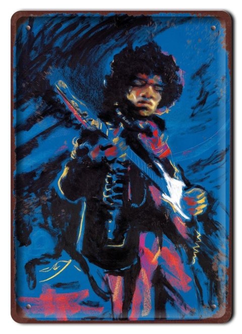 HENDRIX PLAKAT METALOWY SZYLD RETRO VINTAGE #11149