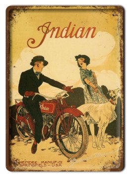 INDIAN METALOWY SZYLD OBRAZEK VINTAGE RETRO #05591
