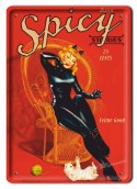 KOT SPICY METALOWY SZYLD OBRAZEK PLAKAT #01999