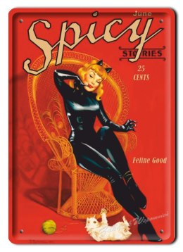 KOT SPICY METALOWY SZYLD OBRAZEK PLAKAT #01999