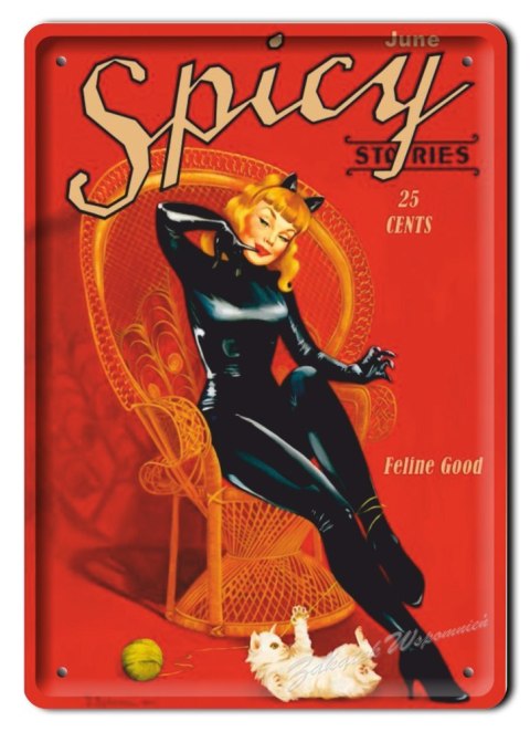 KOT SPICY METALOWY SZYLD OBRAZEK PLAKAT #01999