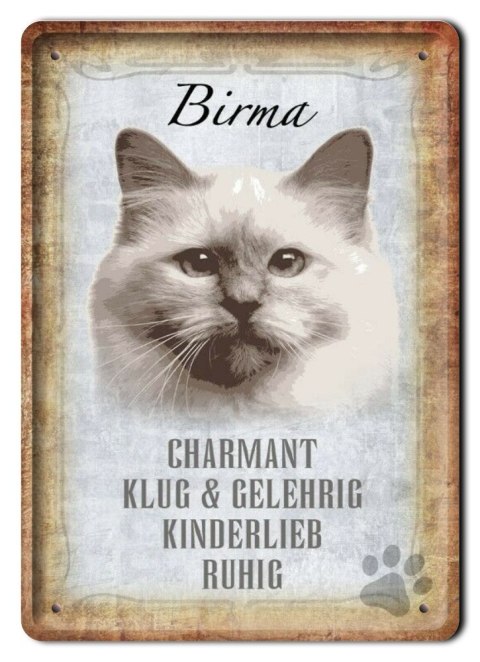 KOT TABLICZKA METALOWY SZYLD PLAKAT RETRO #11840
