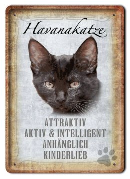KOT TABLICZKA METALOWY SZYLD PLAKAT RETRO #11845