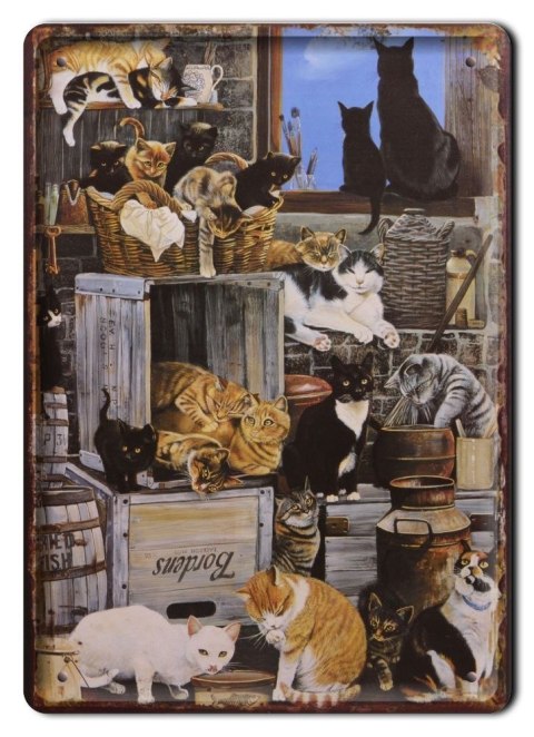KOTY METALOWY SZYLD PLAKAT OBRAZEK RETRO #07013