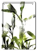 KWIATY METALOWY SZYLD OBRAZEK PLAKAT RETRO #09485